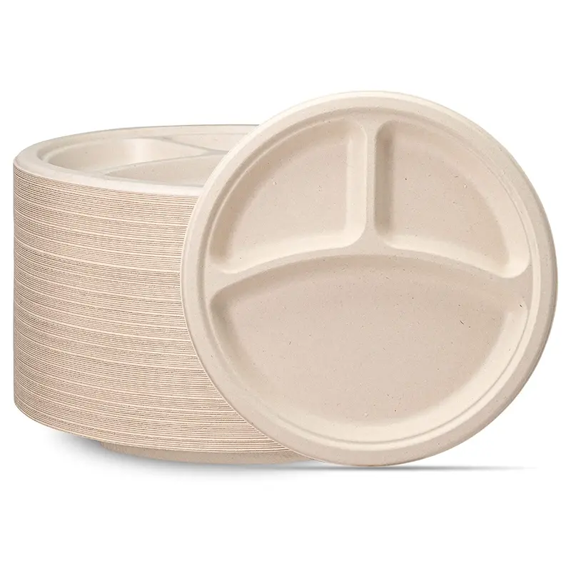 10-Inch 3-Section Sugarcane Plates – 125-Count Compostable Partitioned Disposable Plates 1