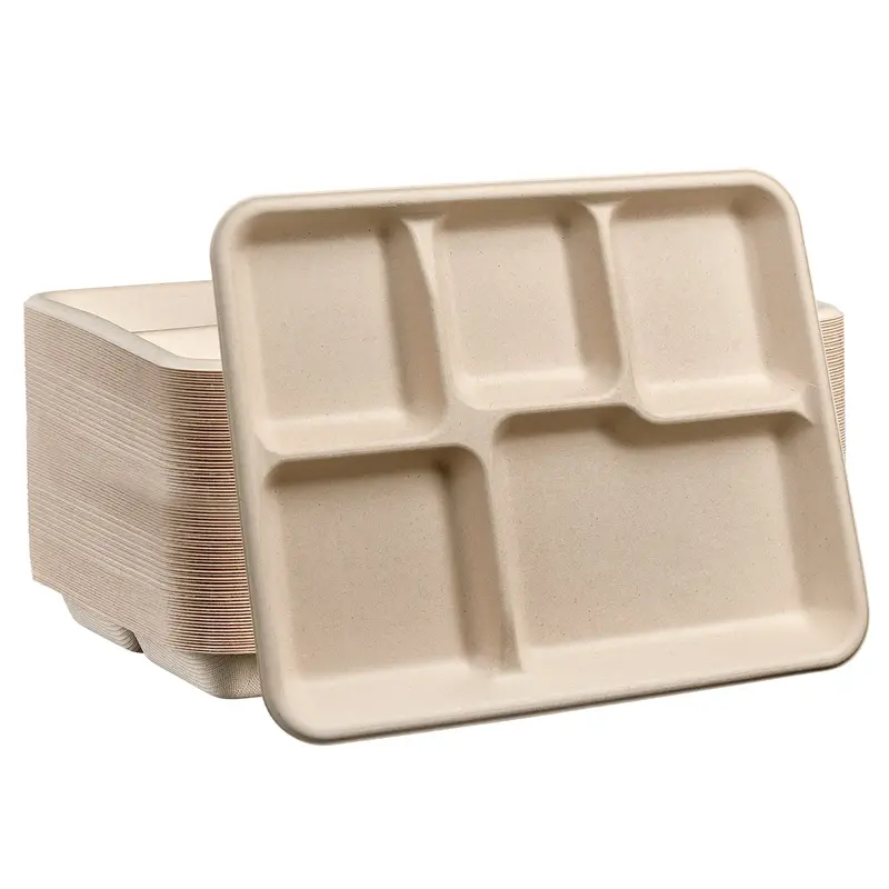 10-Inch Compostable 5-Section Sugarcane Plates – 500 Count, Unbleached Brown 1