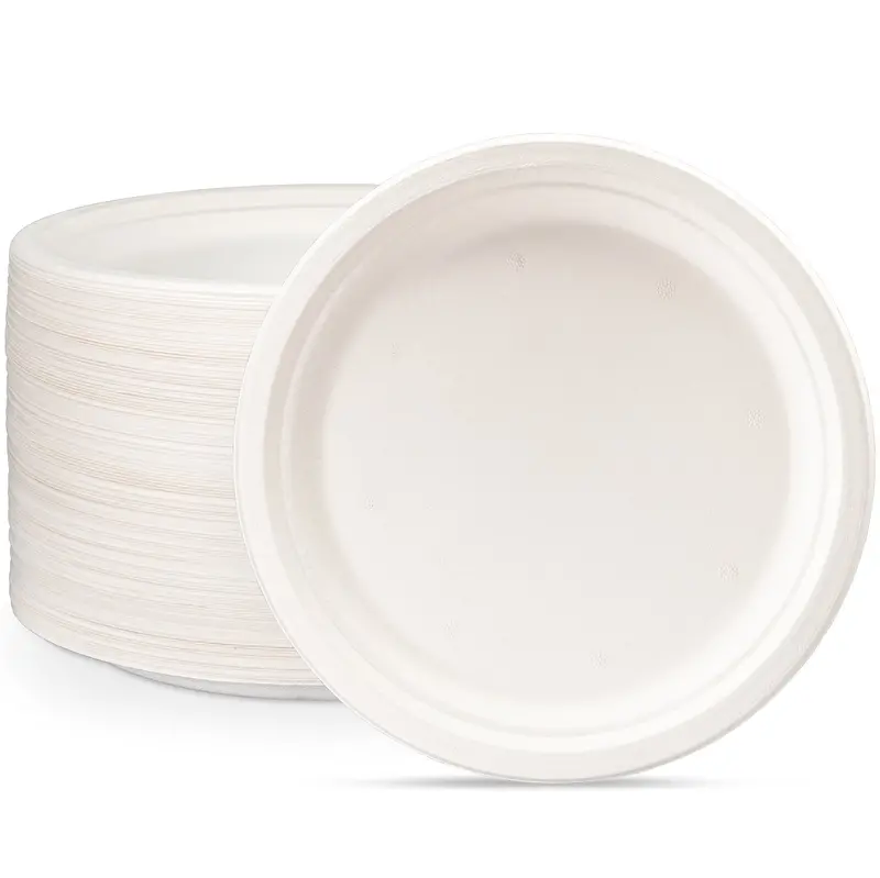 10-Inch Compostable Sugarcane Plates – Heavy-Duty, Unbleached, 125-Count 1