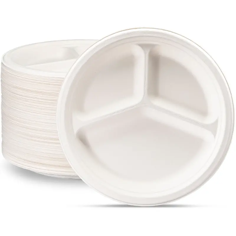 10-Inch Divided Compostable Sugarcane Plates – Eco-Conscious, 500-Count 1