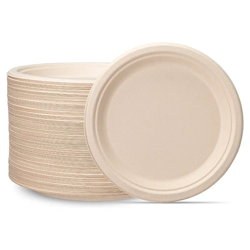 9-Inch Brown Sugarcane Plates – 125-Count Heavy-Duty Compostable Disposable Dinnerware 1