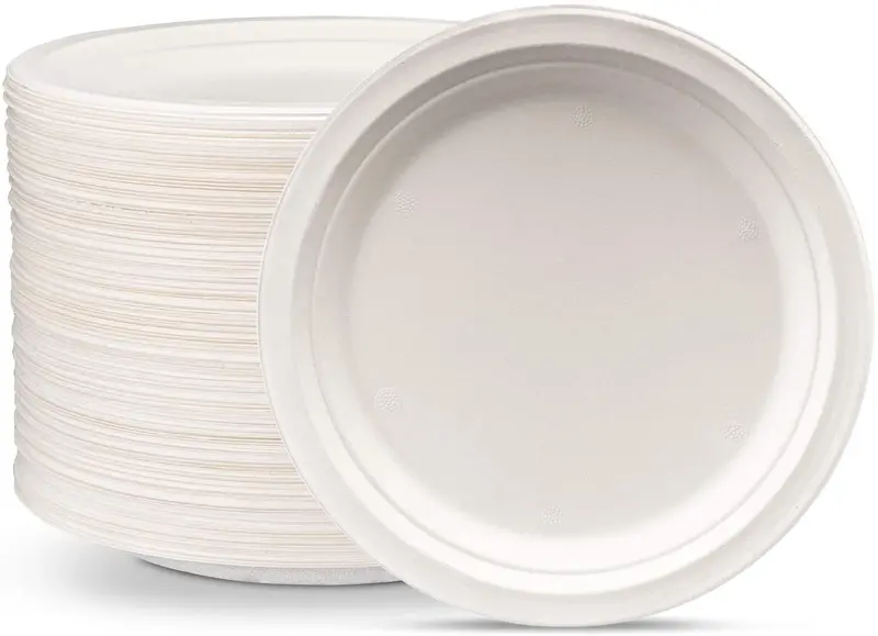 9-Inch Compostable Sugarcane Fiber Plates – 125-Pack Heavy-Duty Eco-Friendly Dinnerware 1