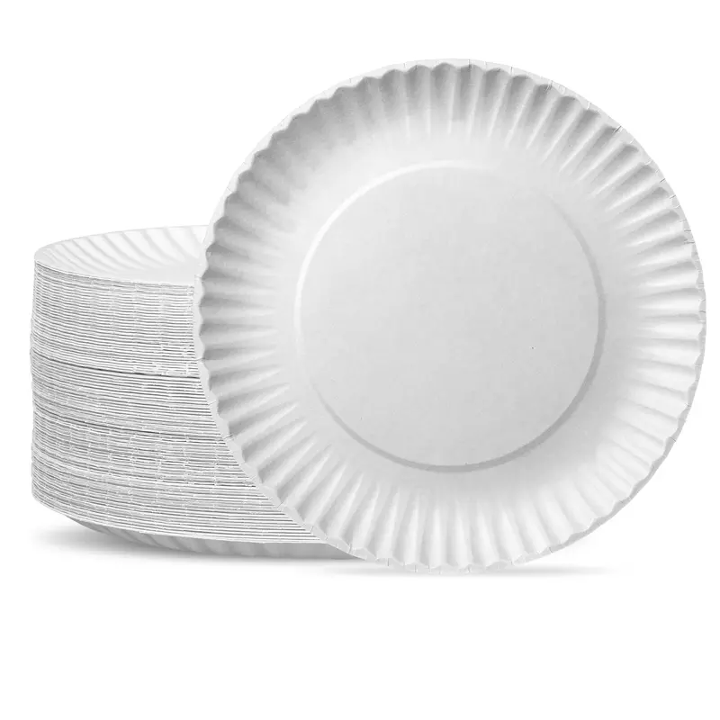 9-Inch Uncoated White Disposable Paper Plates (200-Pack) 1