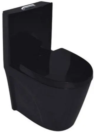 Black Monoblock Toilet Bowl 1
