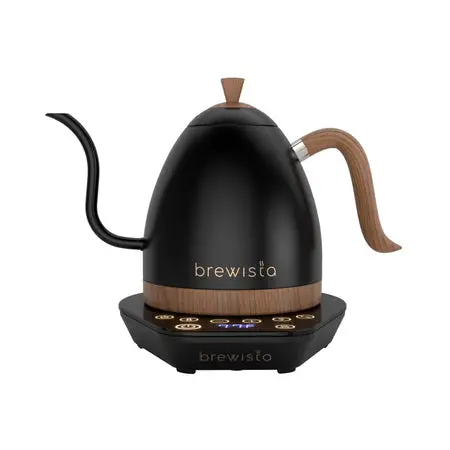 Brewista Artisan Adjustable-Temperature Gooseneck Kettle – Matte Black 1