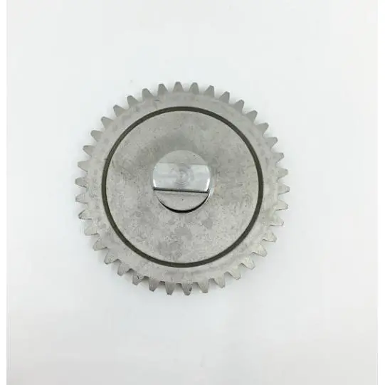 Fabio Leonardi Cast Iron Drive Gear – Compatible With Mr0–Mr9 Grinders (0.3–1Hp) 1