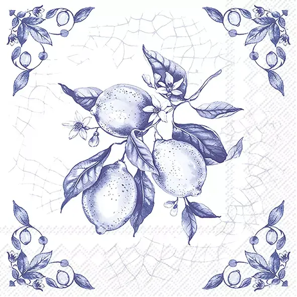 Ihr White-And-Blue Checkered Lunch Napkin – Cotton Blend 1