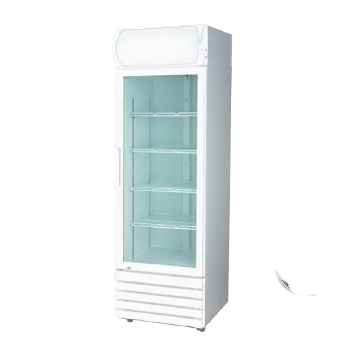 Lg-540Ge Large Single-Door Upright Beverage Refrigerator 1
