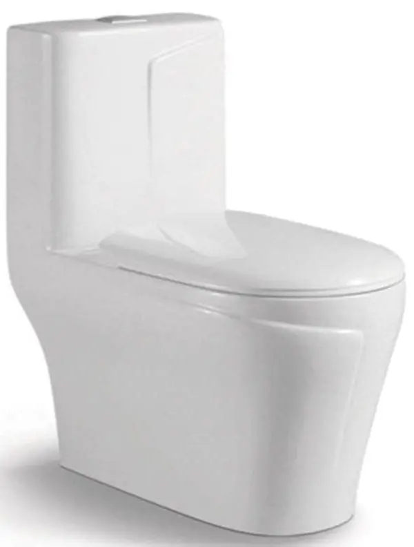 Monoblock Toilet – Space-Saving Fixture 1