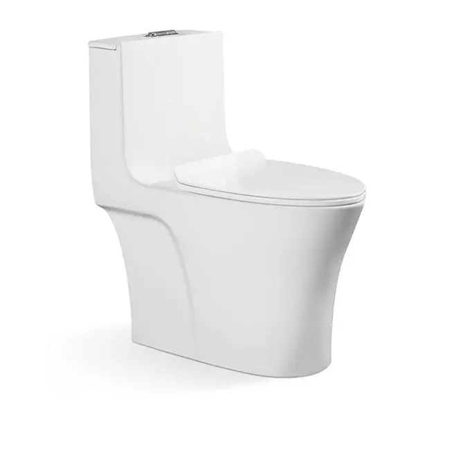 One-Piece Toilet Bowl – Standard Model 1
