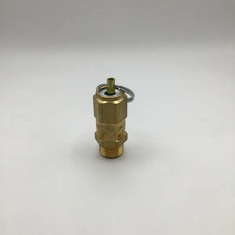 Profitec 1/4-Inch Safety Relief Valve 1