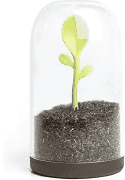 Qualy Sprout Jar Kit – Glass Sprouting Container With Integrated Spoon 1