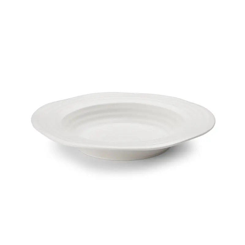 Sophie Conran Wide-Rimmed White Soup Bowl (10-Inch Diameter) 1
