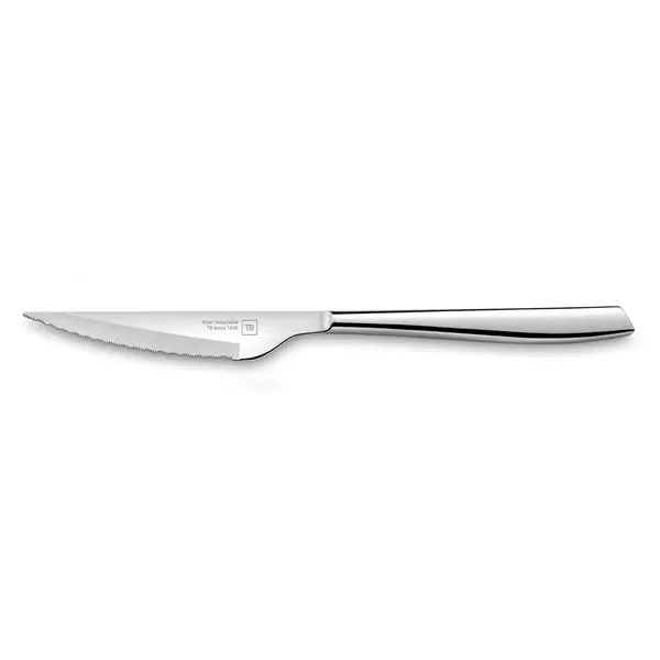 Tarrerias Bonjean Brasserie Steak Knife Gift Set – 4-Piece Premium Cutlery 1