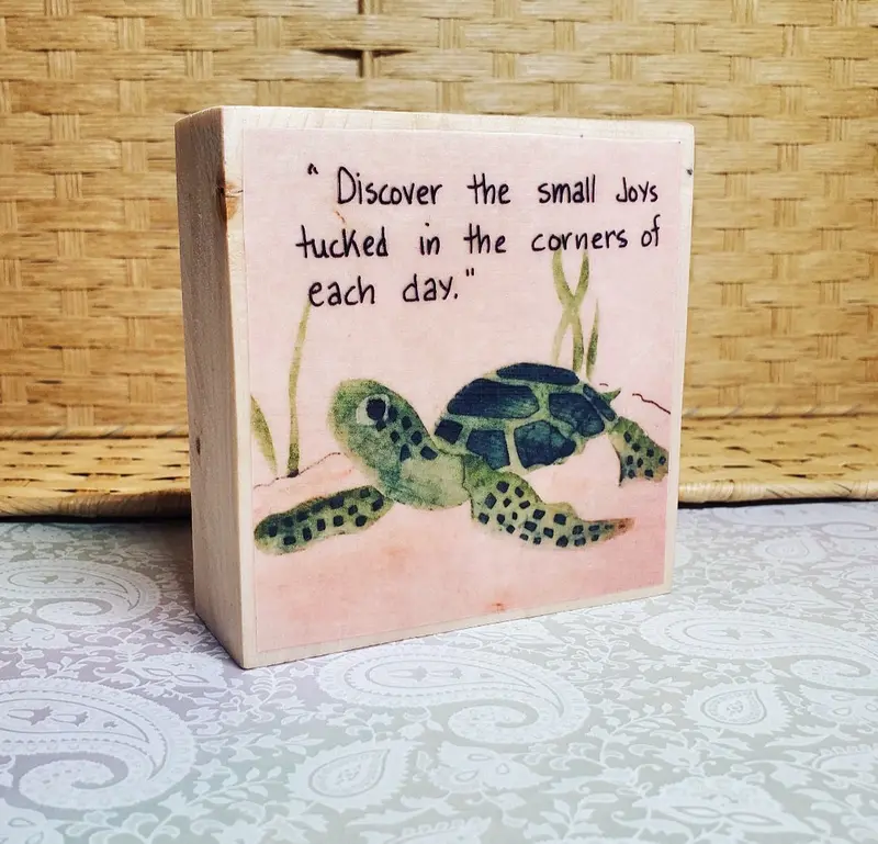 Turtle Discovery Nature Illustration 1