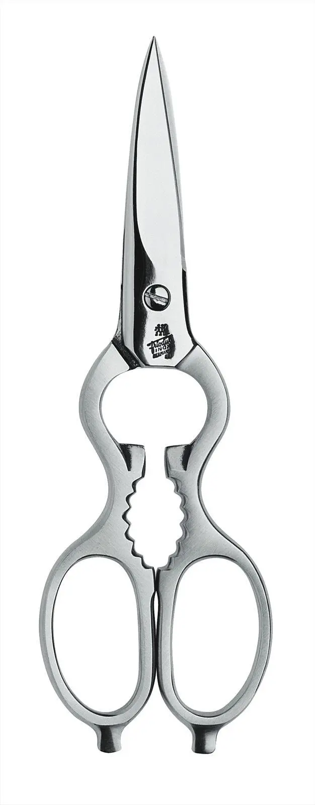 Zwilling Twin Multi-Use Shears – Matte Polished Finish, 200 Mm 1